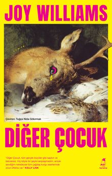 «Diğer Çocuk» Joy Williams pdf oku «Diğer Çocuk» Joy Williams pdf indir