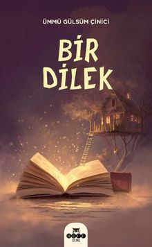 «Bir Dilek» Ümmü Gülsüm Çinici pdf indir